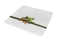  Tapis anti-dérapant Charlie vert 55 x 55 cm  