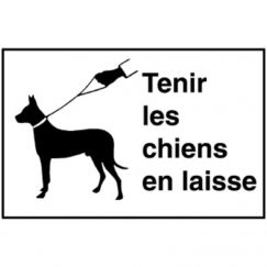 17.91 Tenir les chiens en laisse Grandeur cm: 40/25, Texte: Tenir ch. en laisse